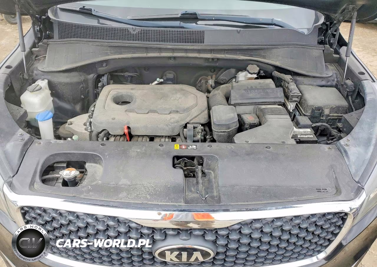 2017 Kia Sorento Lx VIN:5XYPGDA3XHG272202 - 11