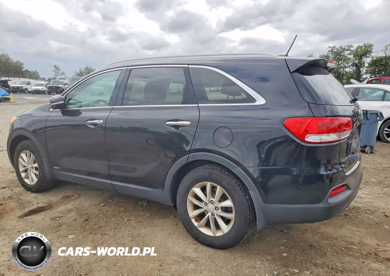2017 Kia Sorento Lx VIN:5XYPGDA3XHG272202 - 2