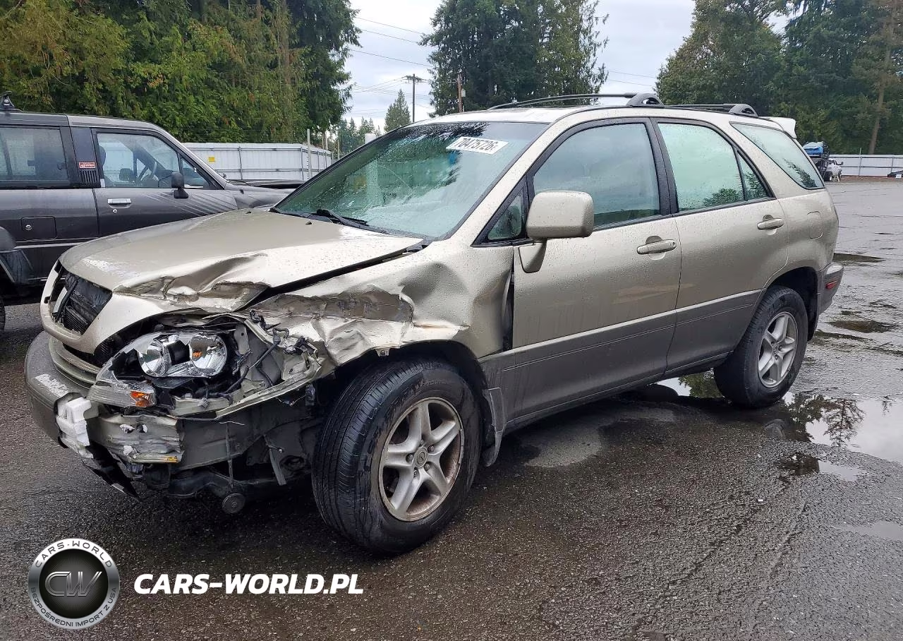 2001 Lexus Rx 300 VIN:JTJHF10U910171306 - 1