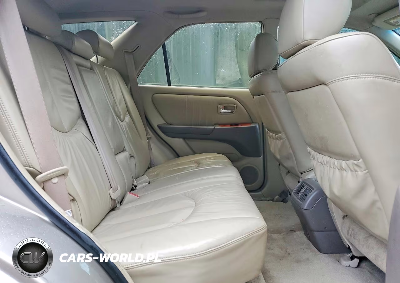 2001 Lexus Rx 300 VIN:JTJHF10U910171306 - 11