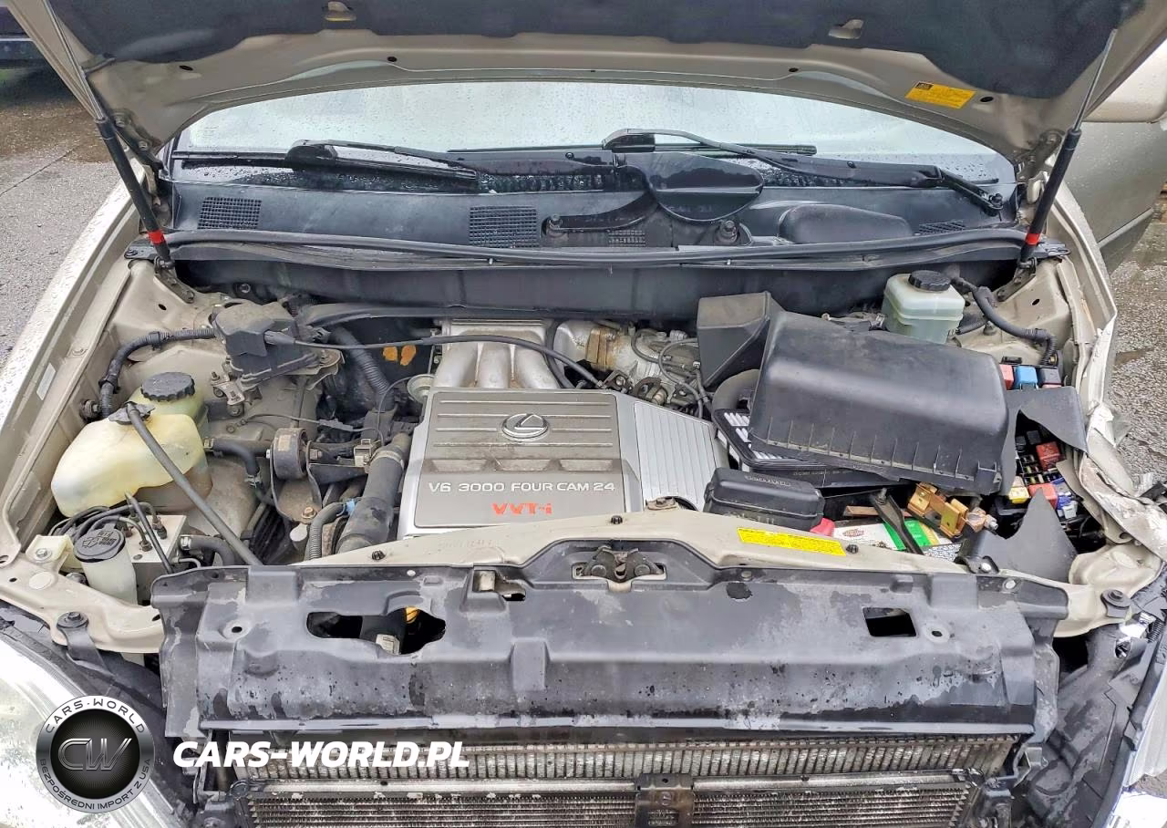 2001 Lexus Rx 300 VIN:JTJHF10U910171306 - 12