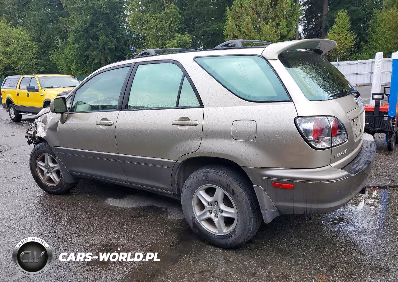2001 Lexus Rx 300 VIN:JTJHF10U910171306 - 2