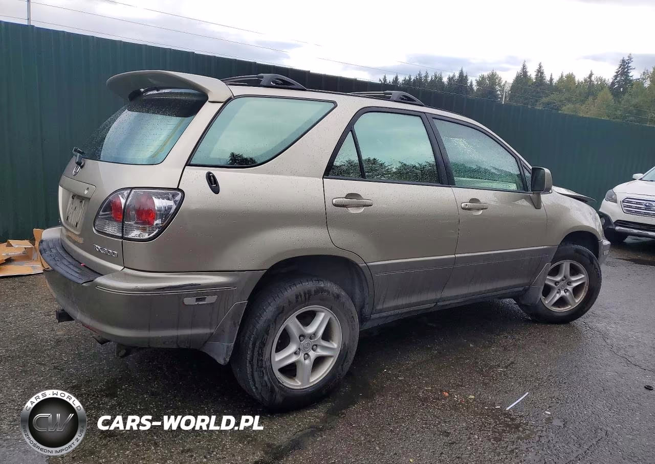 2001 Lexus Rx 300 VIN:JTJHF10U910171306 - 3