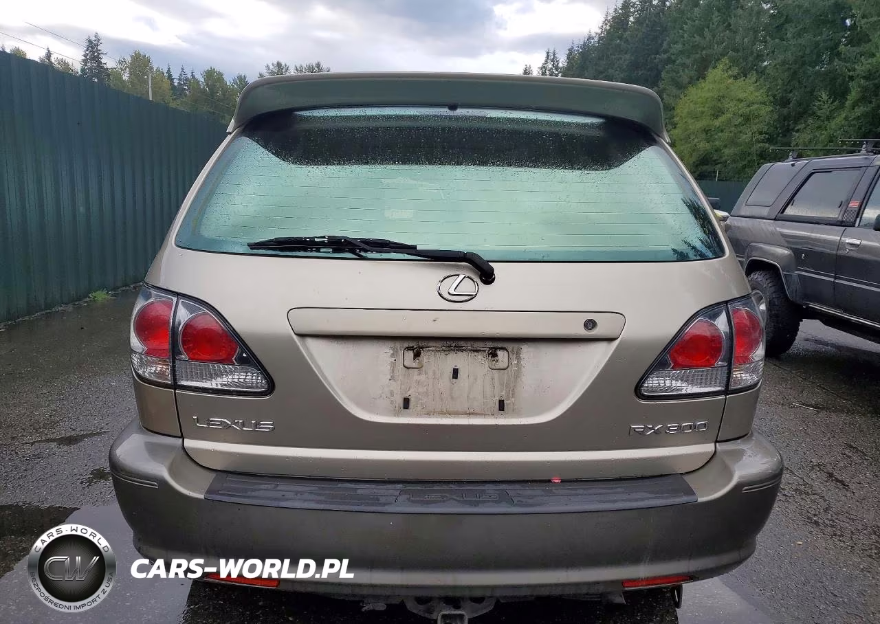 2001 Lexus Rx 300 VIN:JTJHF10U910171306 - 6