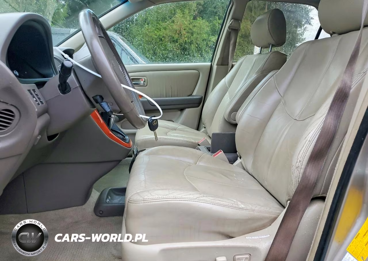 2001 Lexus Rx 300 VIN:JTJHF10U910171306 - 7