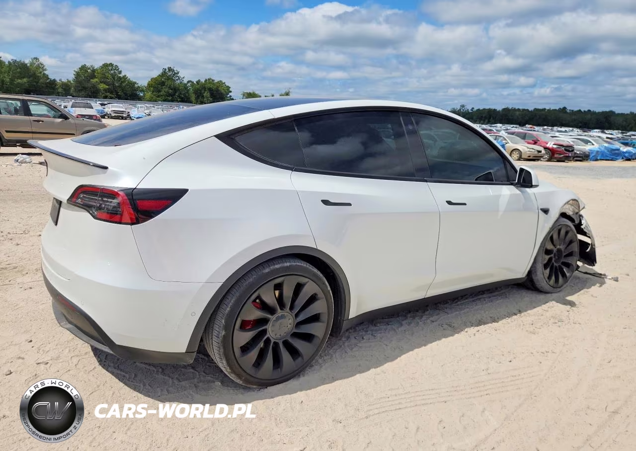 2022 Tesla Model Y VIN:7SAYGDEF7NF319474 - 3