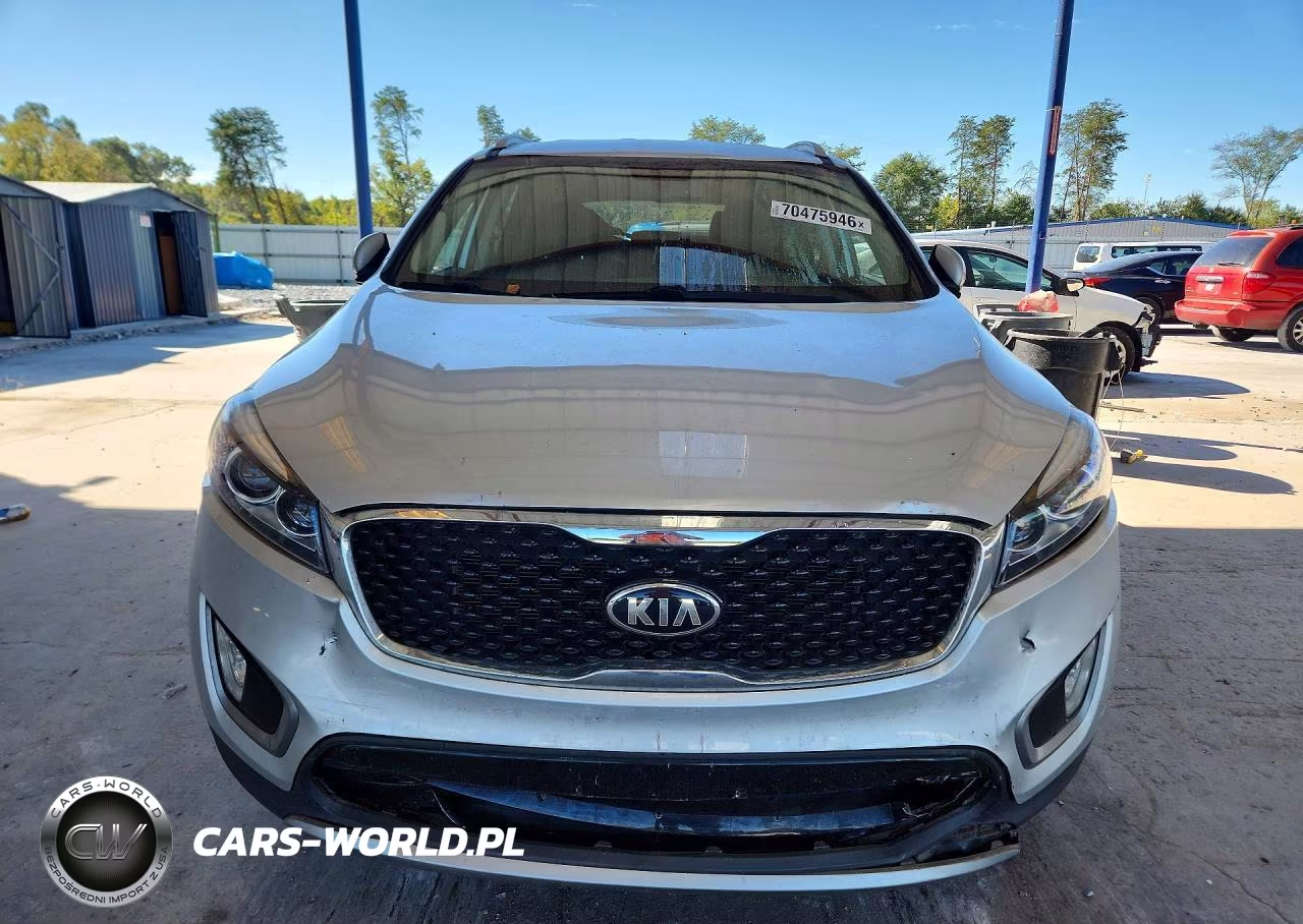 2016 Kia Sorento Ex VIN:5XYPH4A58GG008893 - 5