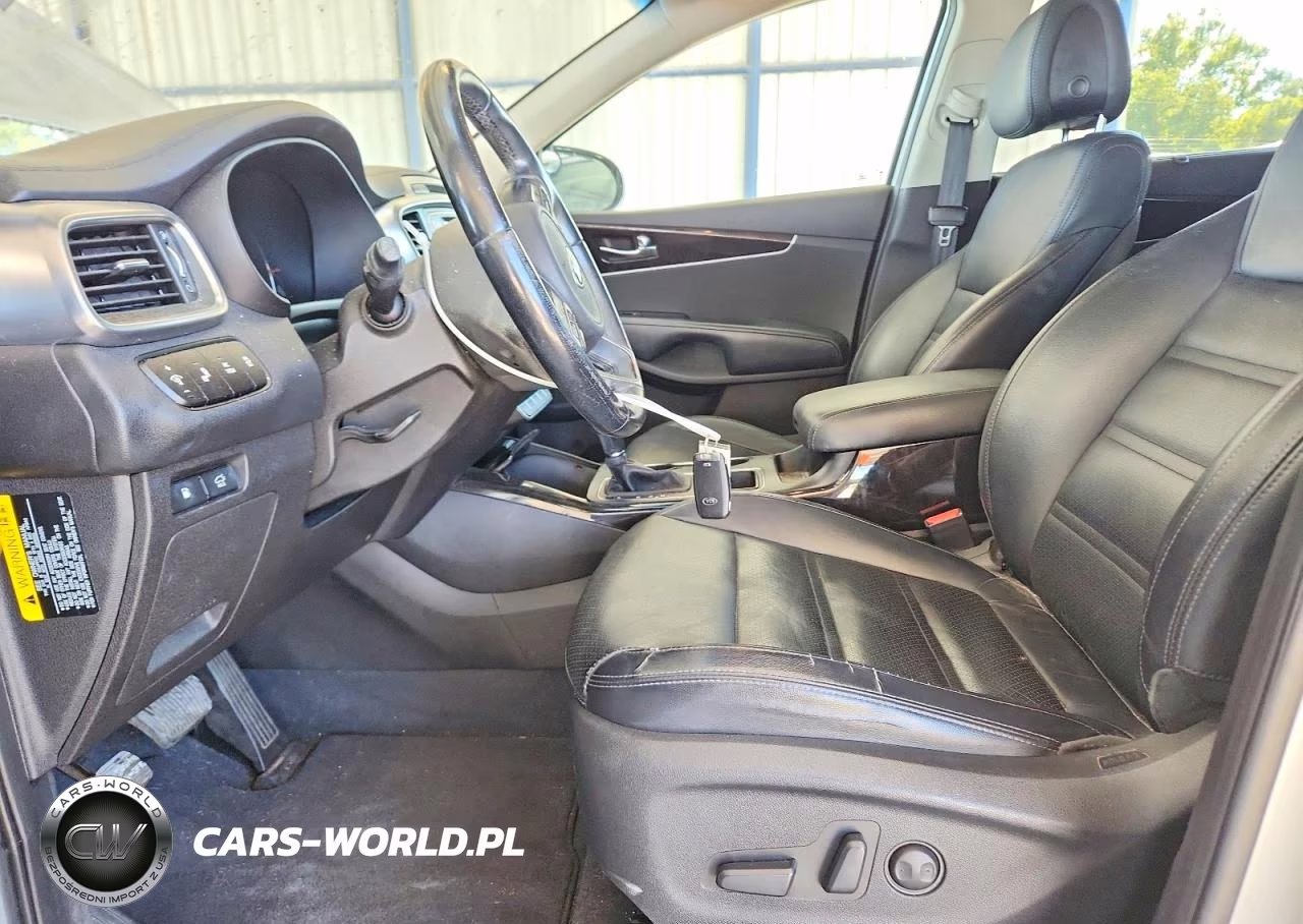 2016 Kia Sorento Ex VIN:5XYPH4A58GG008893 - 7