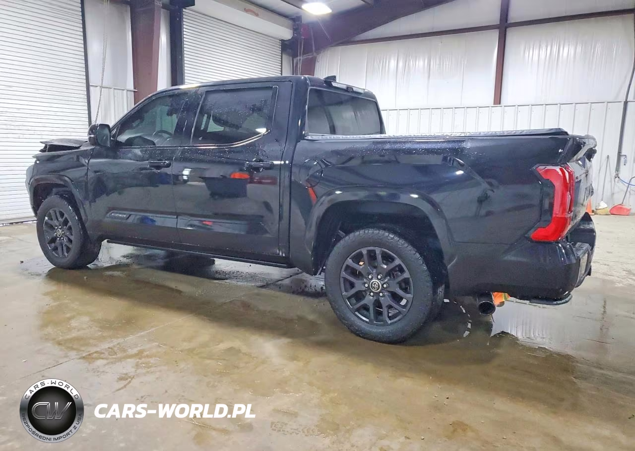 2023 Toyota Tundra Platinum VIN:5TFNA5DB9PX100711 - 2