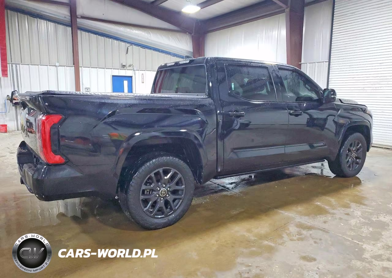 2023 Toyota Tundra Platinum VIN:5TFNA5DB9PX100711 - 3