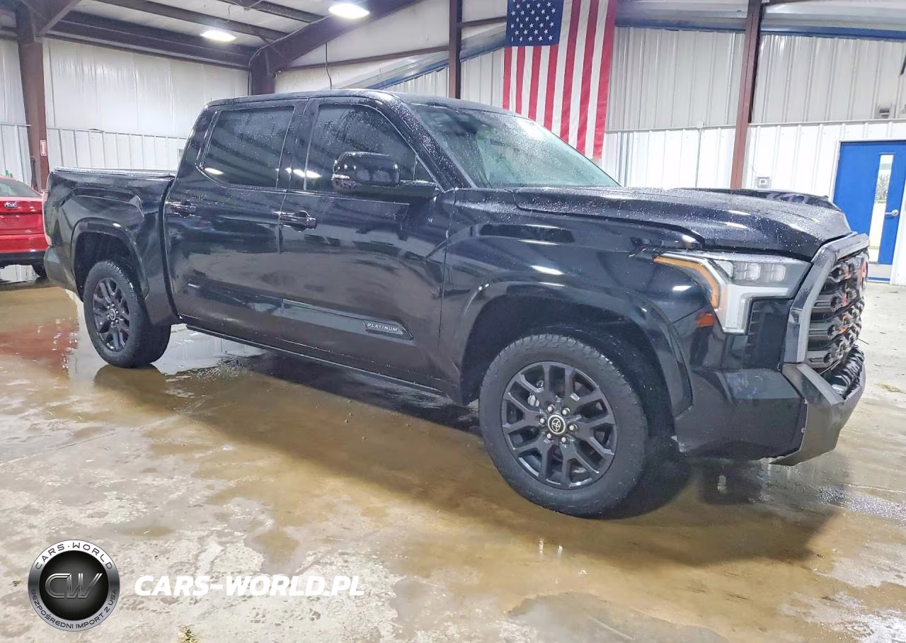 2023 Toyota Tundra Platinum VIN:5TFNA5DB9PX100711 - 4
