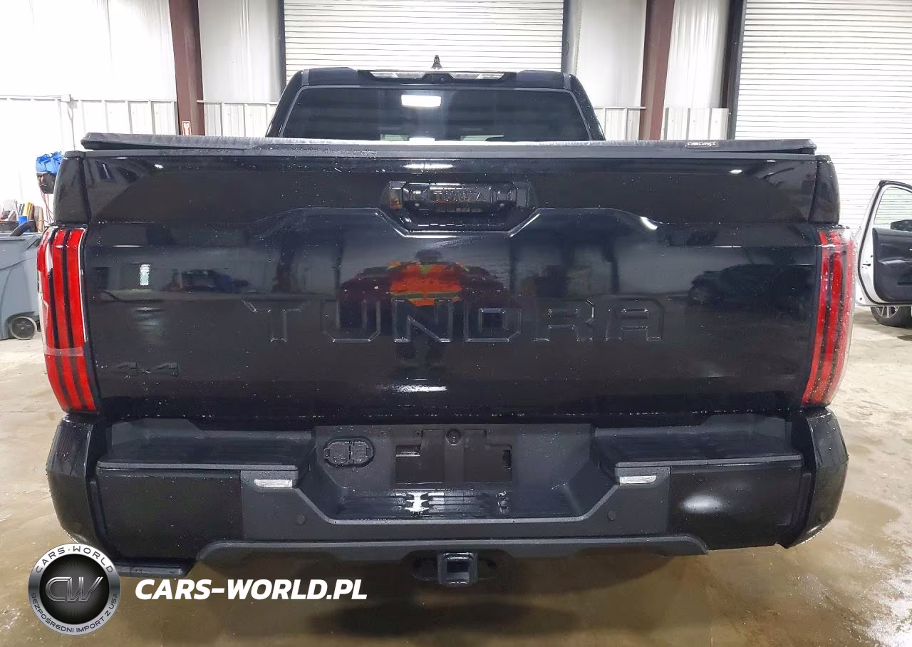 2023 Toyota Tundra Platinum VIN:5TFNA5DB9PX100711 - 6