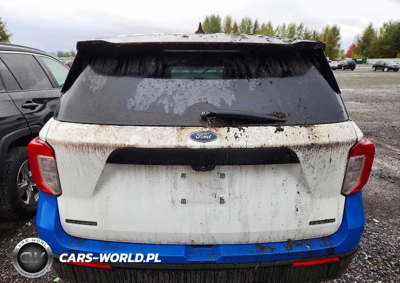 2021 Ford Explorer Police Interceptor VIN:1FM5K8AW9MNA05719 - 6