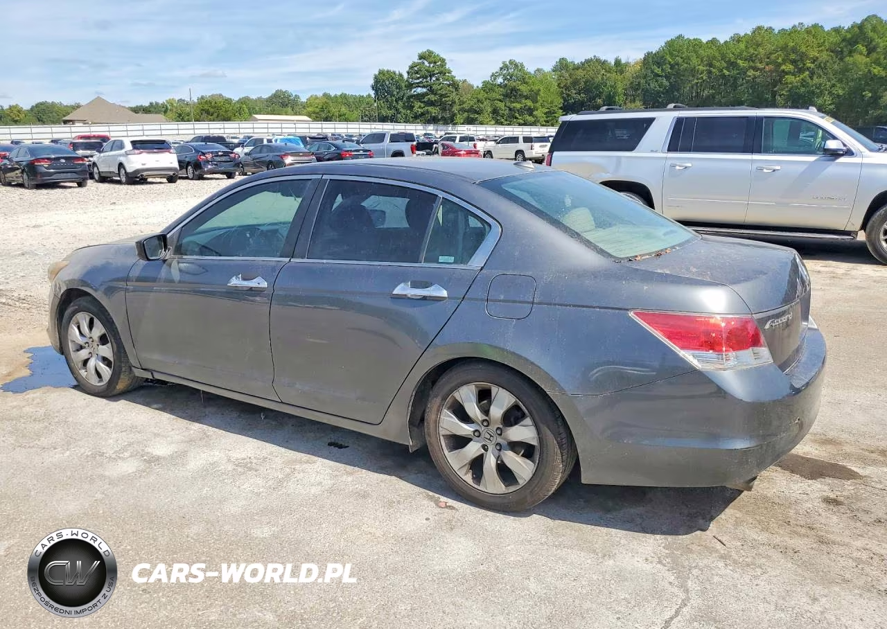 2010 Honda Accord Exl VIN:1HGCP2F84AA002803 - 2