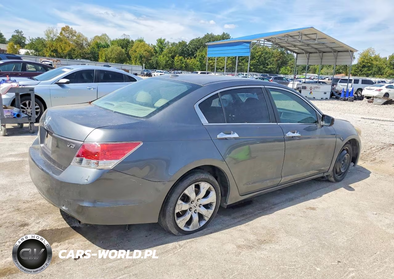 2010 Honda Accord Exl VIN:1HGCP2F84AA002803 - 3