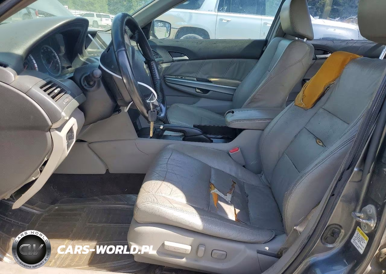2010 Honda Accord Exl VIN:1HGCP2F84AA002803 - 7