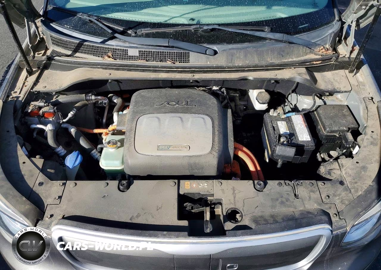 2016 Kia Soul Ev Base VIN:KNDJP3AE1G7012929 - 12