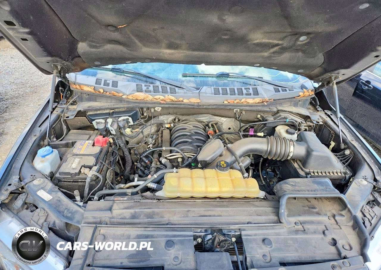 2020 Ford F150 Supercrew VIN:1FTEW1E56LFA27414 - 11