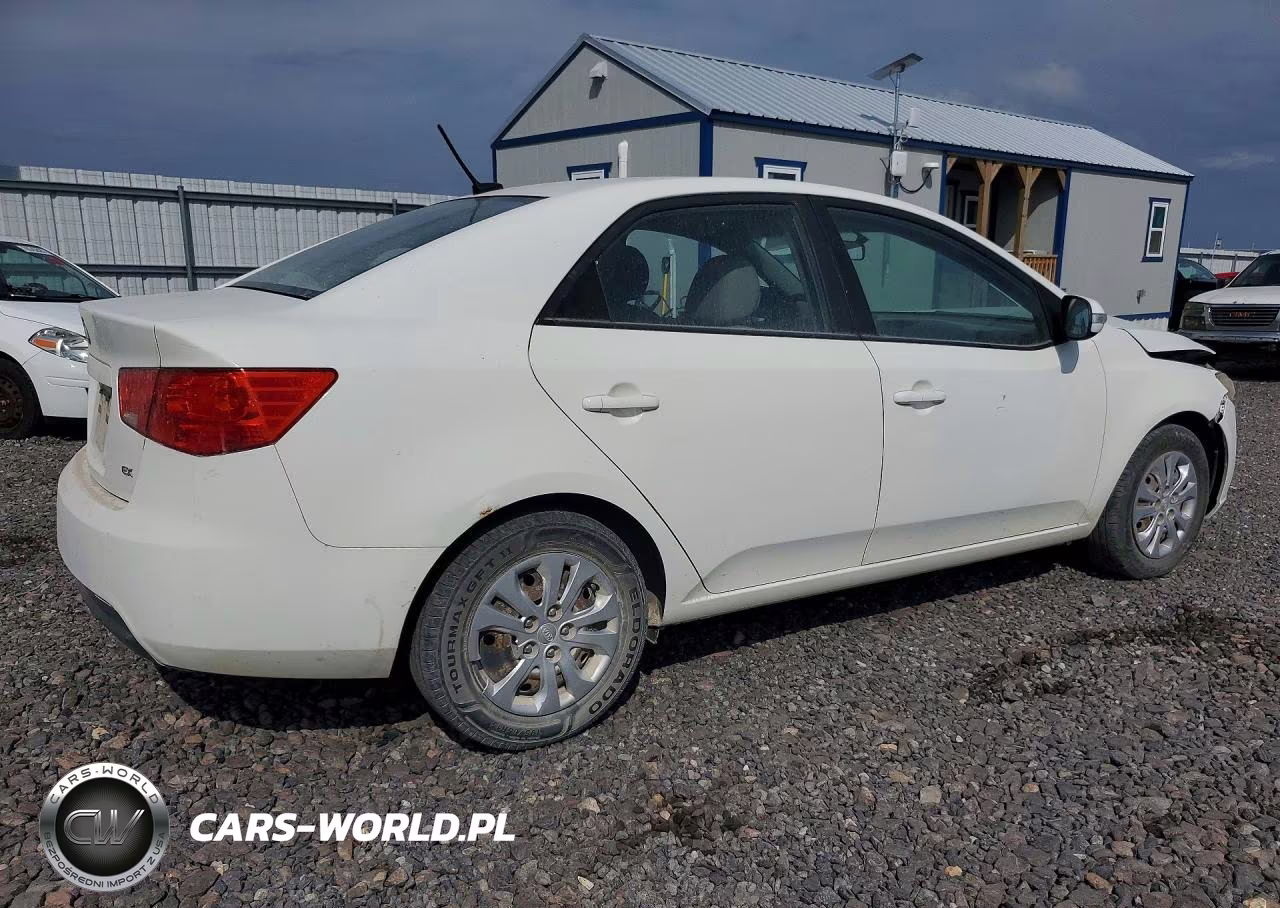 2010 Kia Forte Ex VIN:KNAFU4A21A5058531 - 3