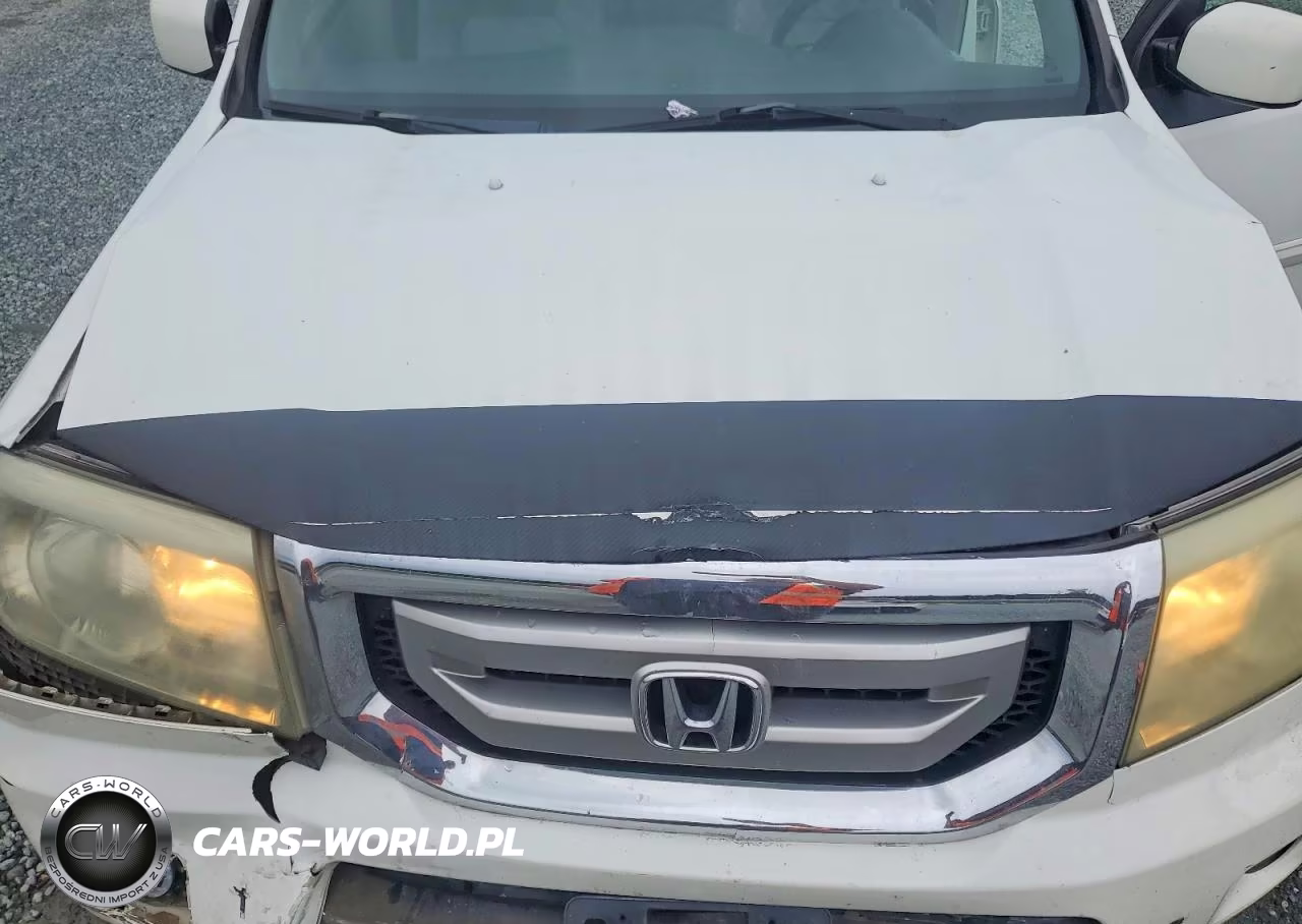 2009 Honda Pilot Exl VIN:5FNYF48529B046212 - 12