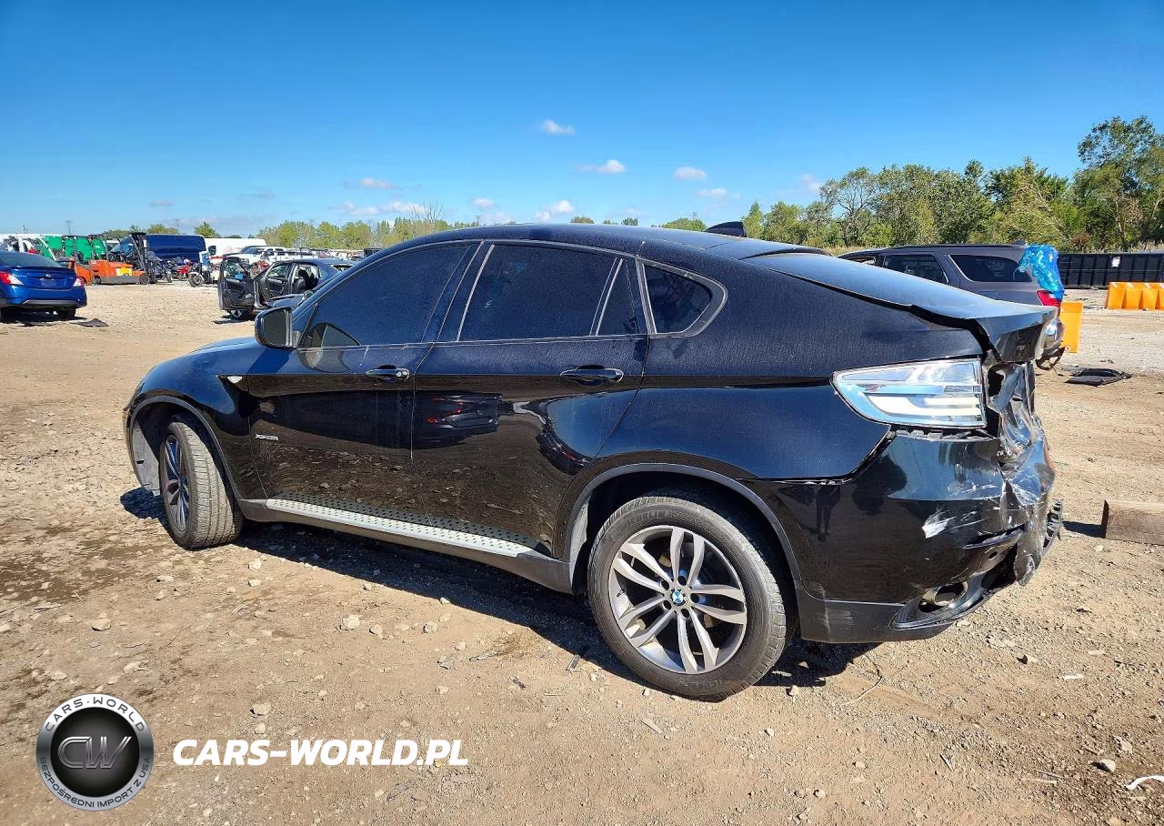 2013 BMW X6 xDrive35I VIN:5UXFG2C59DL782648 - 2