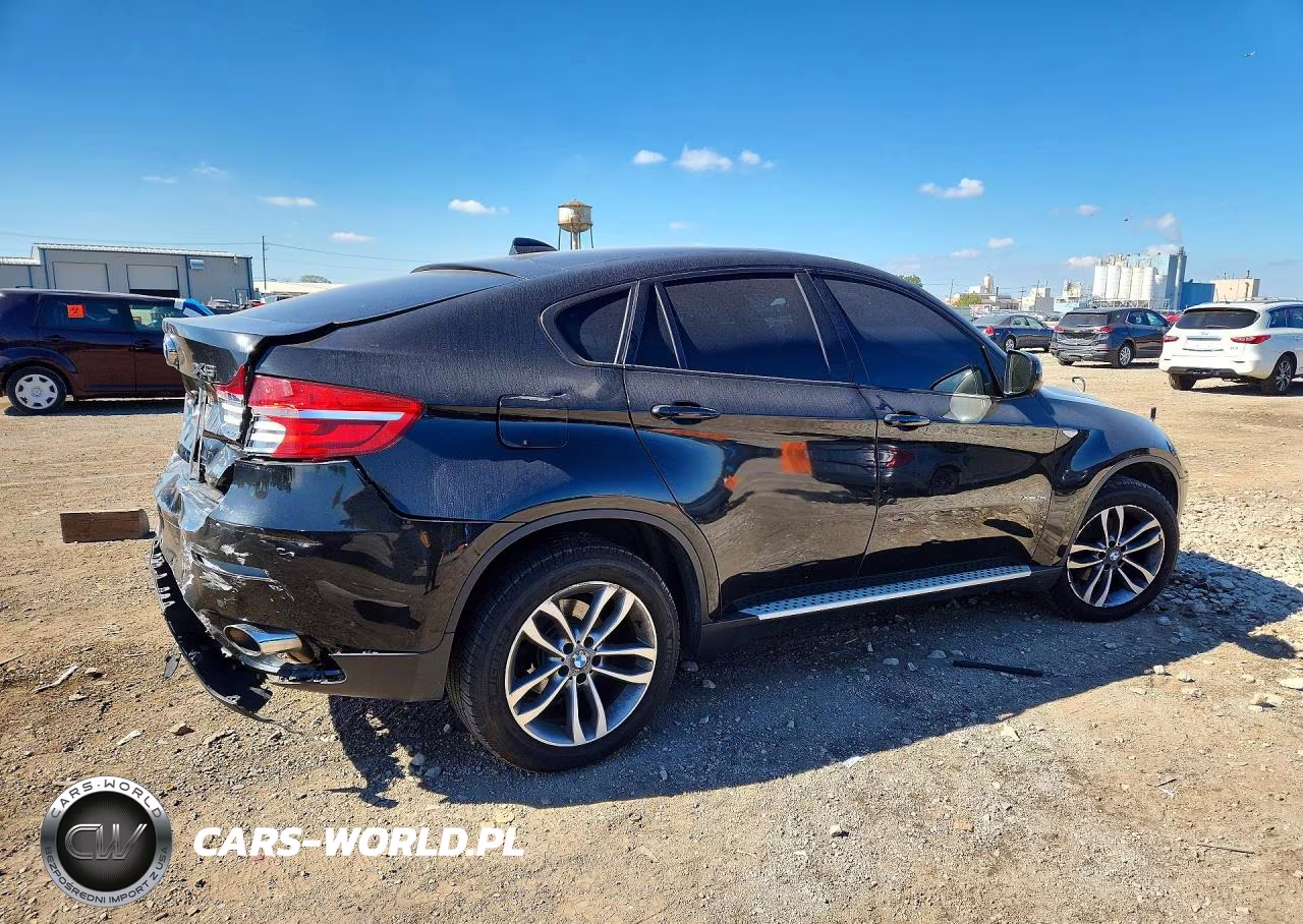 2013 BMW X6 xDrive35I VIN:5UXFG2C59DL782648 - 3