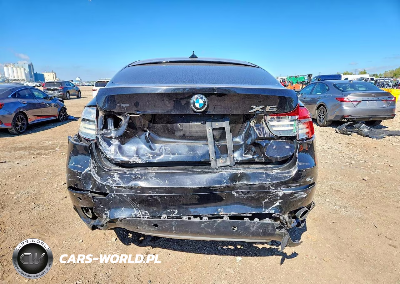 2013 BMW X6 xDrive35I VIN:5UXFG2C59DL782648 - 6