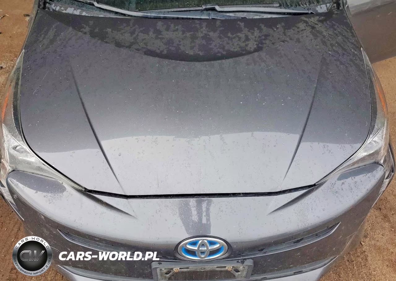 2016 Toyota Prius Three VIN:JTDKARFU9G3013746 - 11