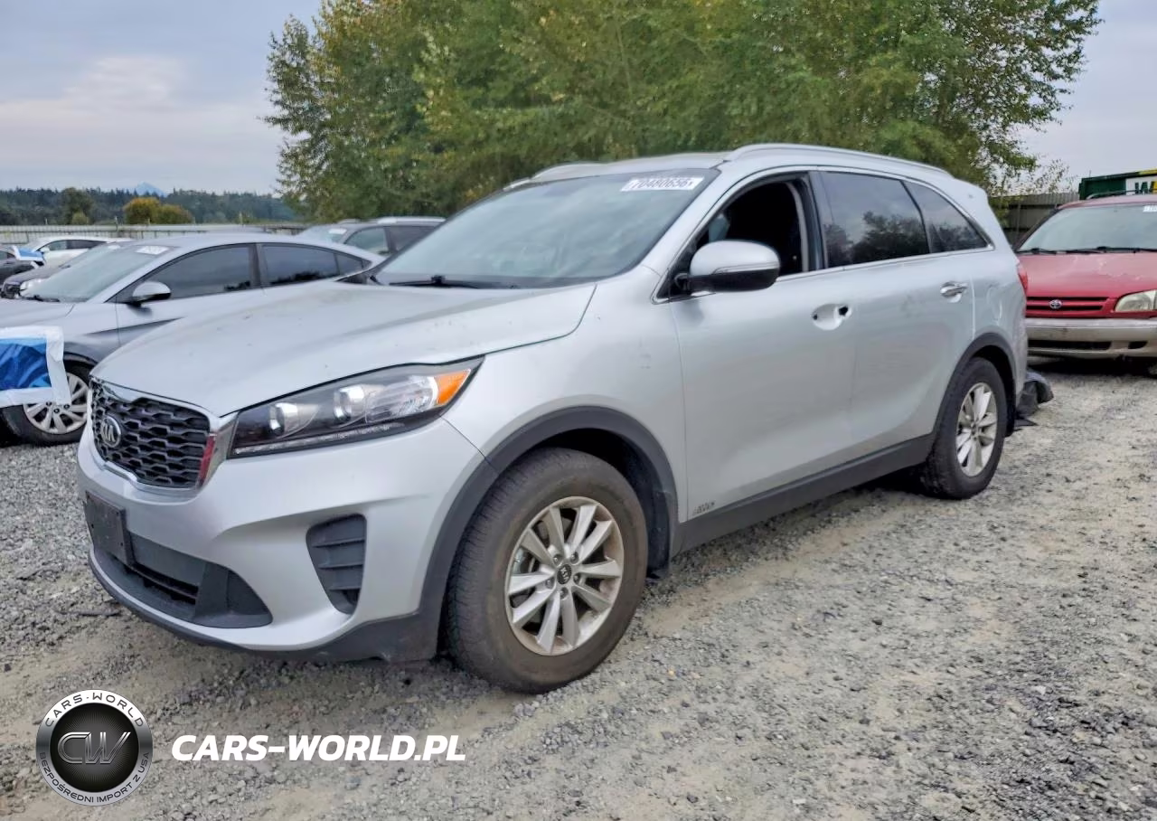 2019 Kia Sorento Lx VIN:5XYPGDA31KG438713 - 1