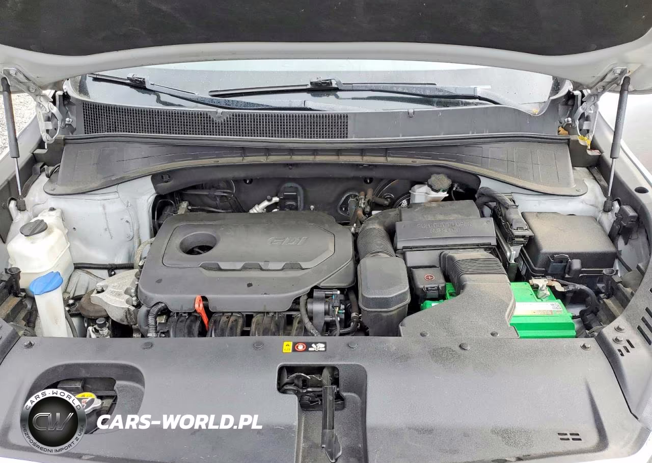 2019 Kia Sorento Lx VIN:5XYPGDA31KG438713 - 12