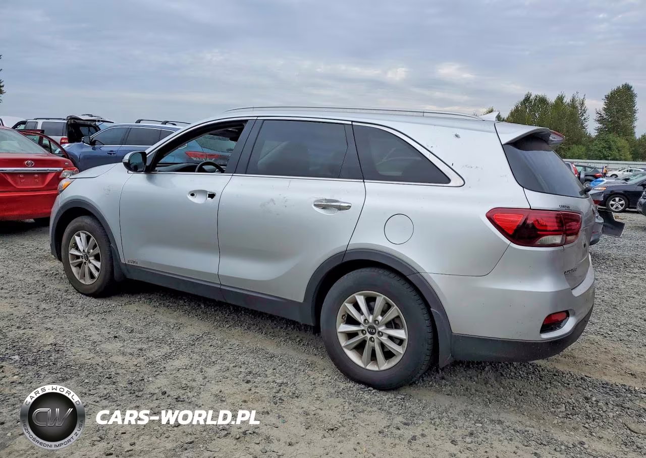 2019 Kia Sorento Lx VIN:5XYPGDA31KG438713 - 2
