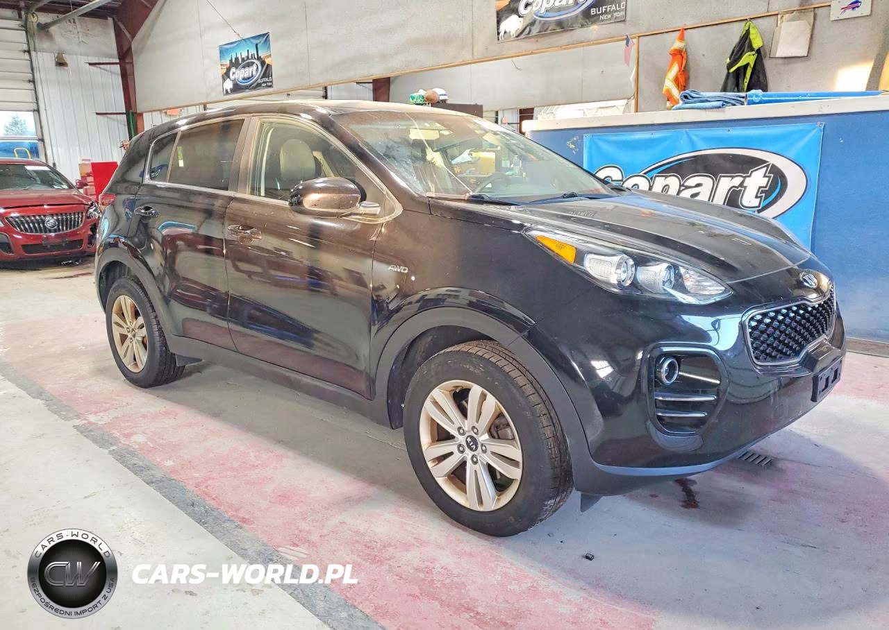 2019 Kia Sportage Lx VIN:KNDPMCAC4K7600883 - 4