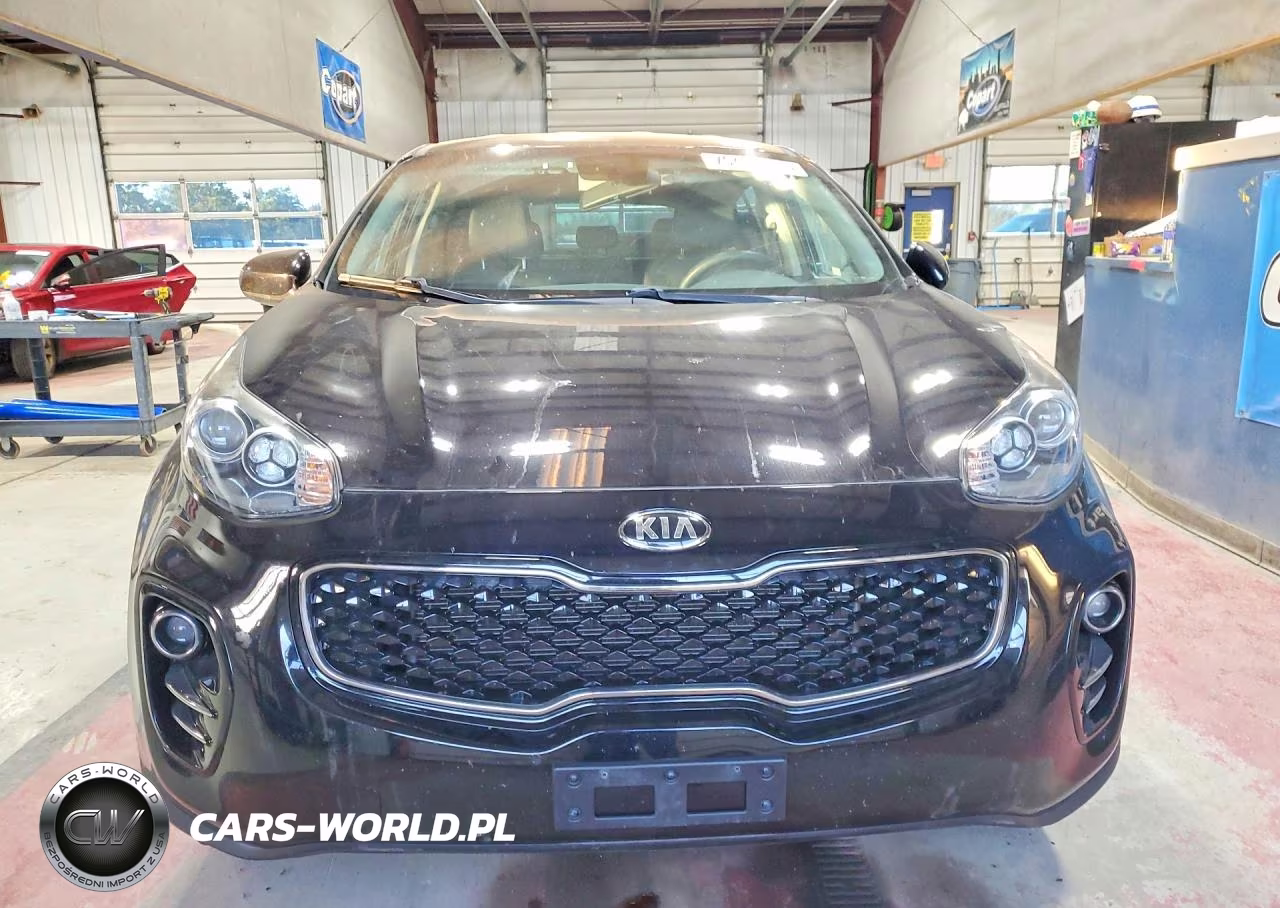 2019 Kia Sportage Lx VIN:KNDPMCAC4K7600883 - 5