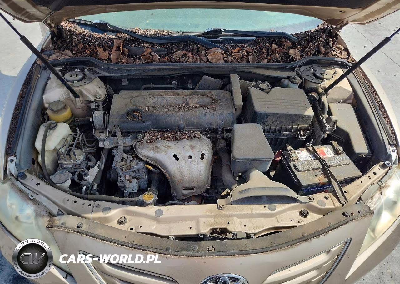 2009 Toyota Camry Xle VIN:4T4BE46K59R125545 - 11