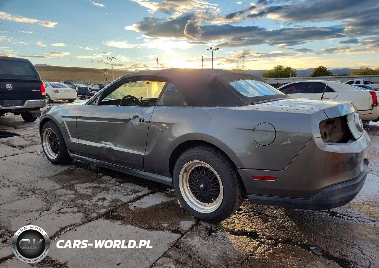 2010 Ford Mustang VIN:1ZVBP8EN4A5124801 - 2