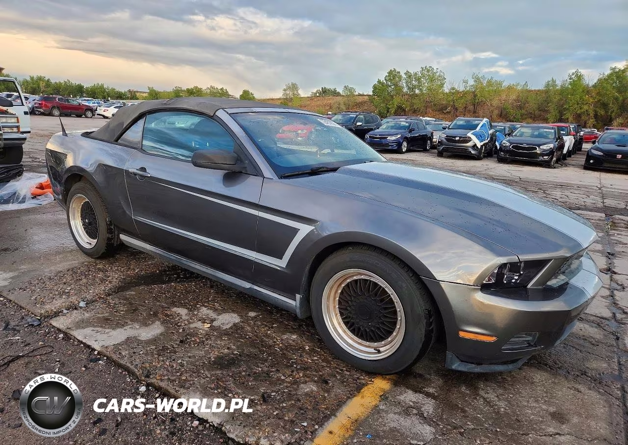2010 Ford Mustang VIN:1ZVBP8EN4A5124801 - 4