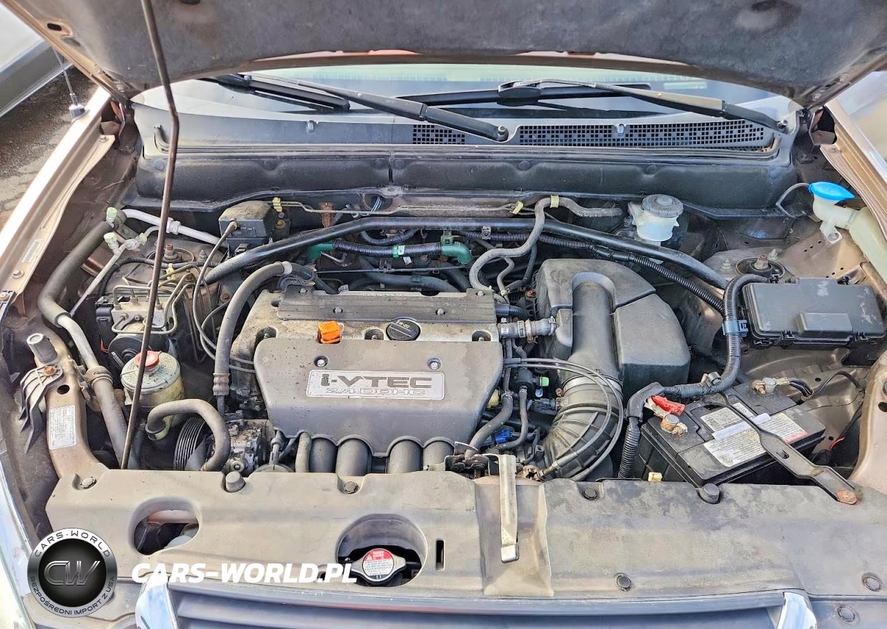 2004 Honda Cr-V Ex VIN:JHLRD78874C025077 - 11