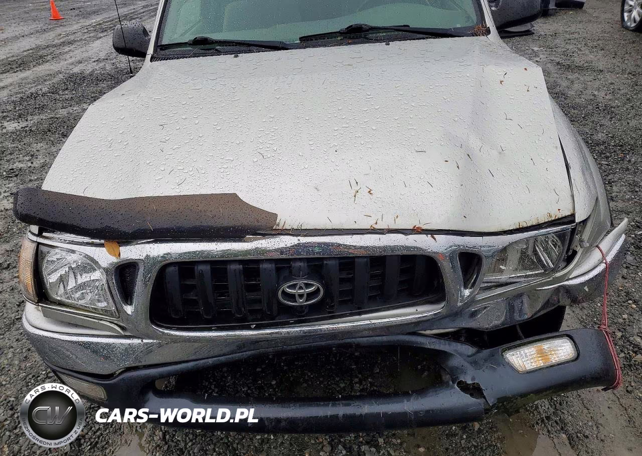 2004 Toyota Tacoma Base VIN:5TEVL52N54Z376153 - 11