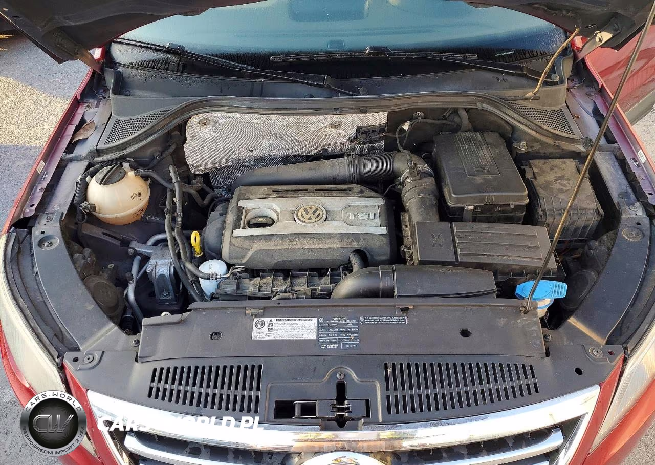 2009 Volkswagen Tiguan Se VIN:WVGBV75NX9W525211 - 12