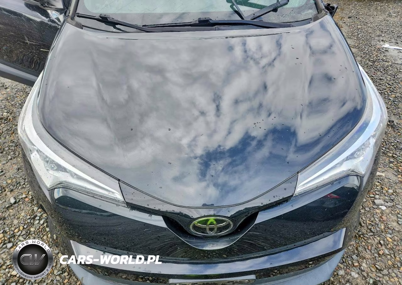 2019 Toyota C-Hr Le VIN:JTNKHMBX9K1039259 - 11