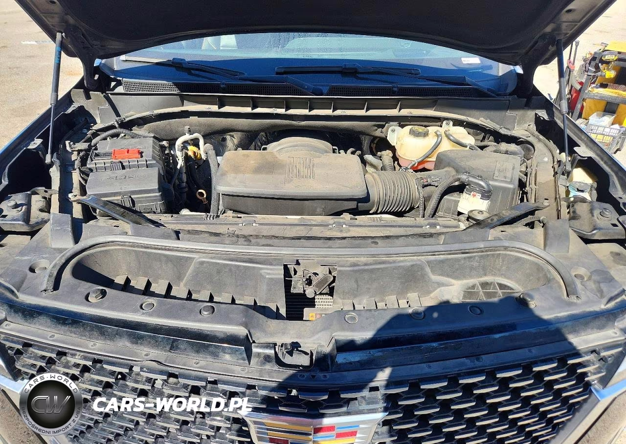 2021 Cadillac Escalade Esv Premium Luxury VIN:1GYS3KKL7MR234232 - 12
