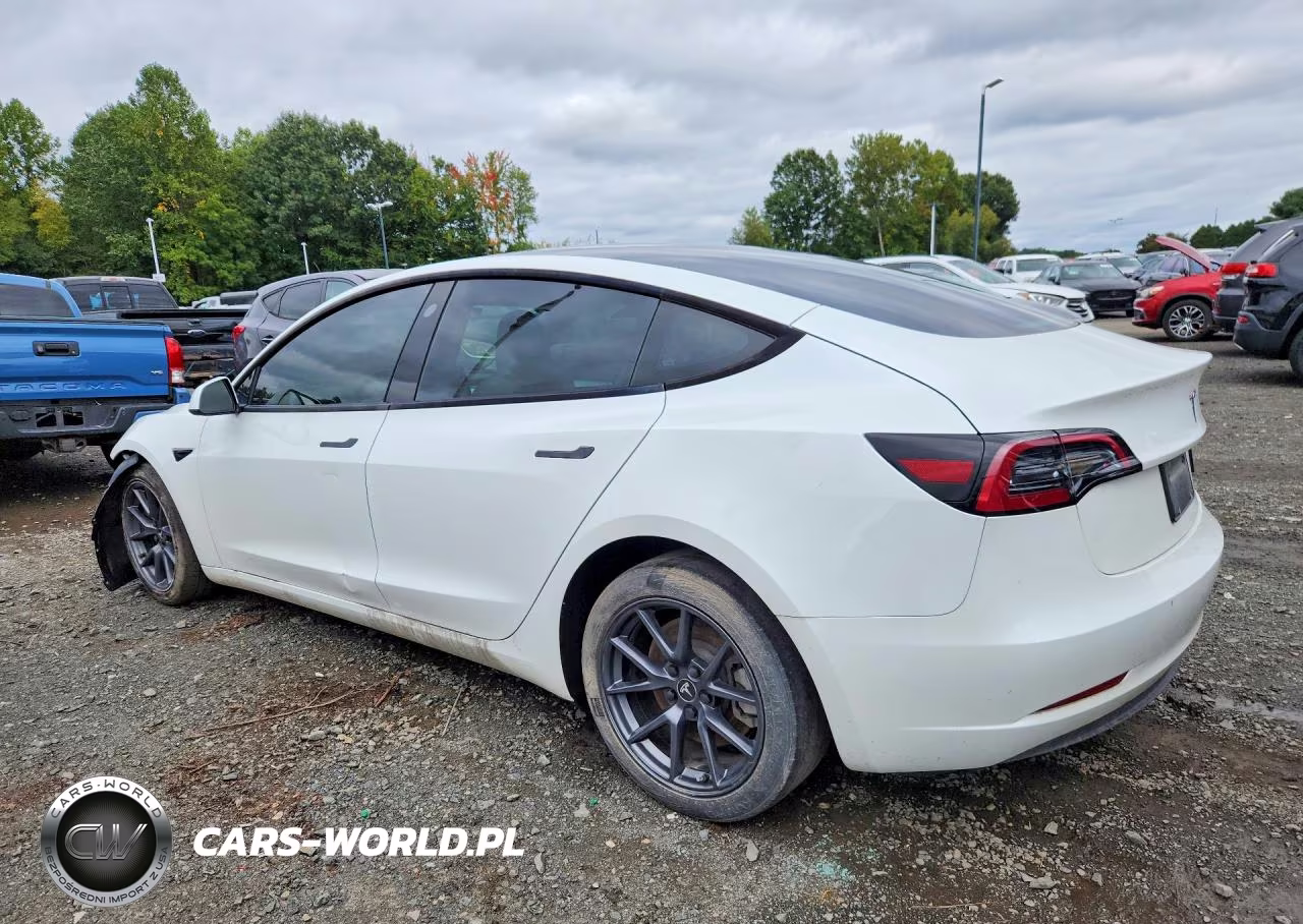 2023 Tesla Model 3 VIN:5YJ3E1EAXPF504847 - 2