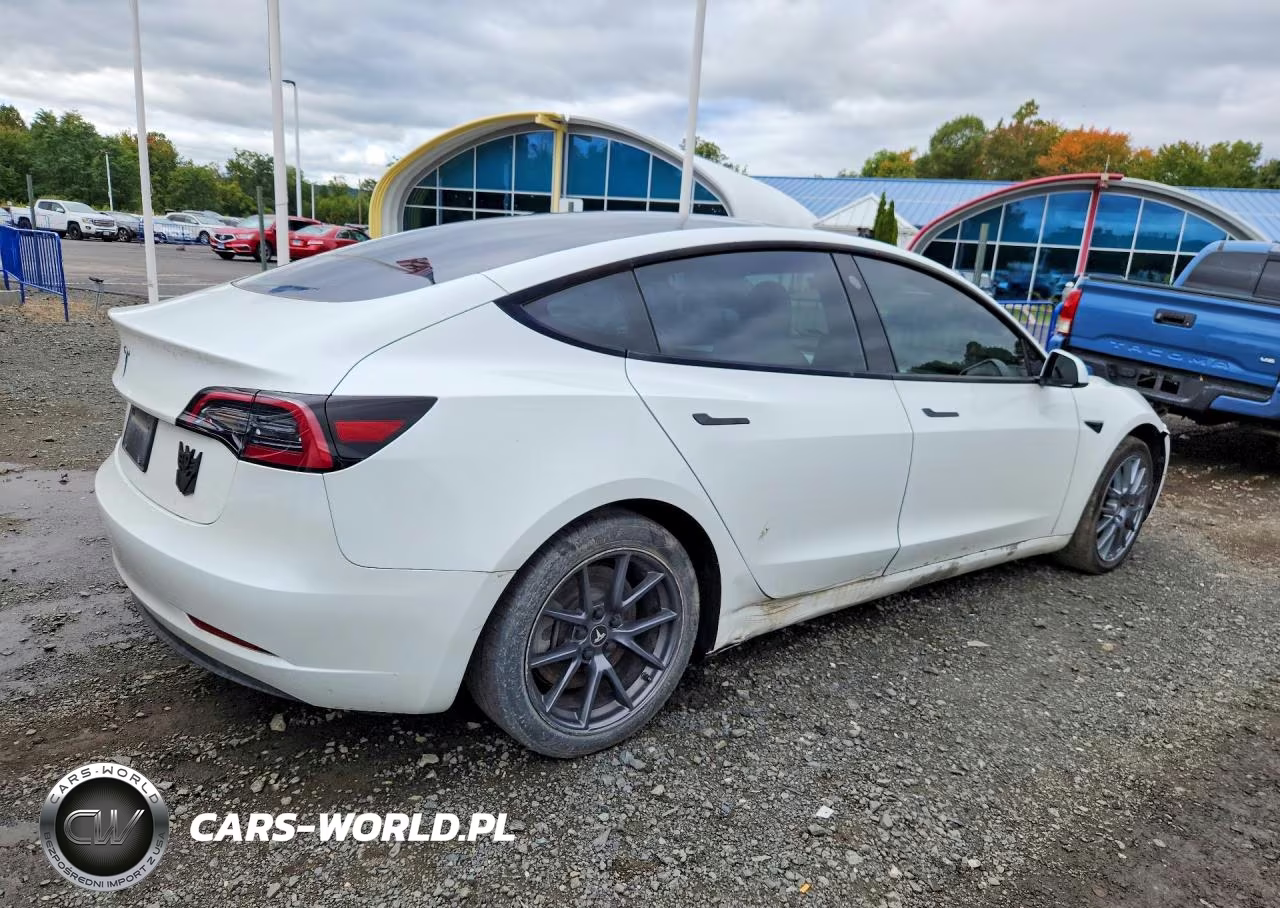 2023 Tesla Model 3 VIN:5YJ3E1EAXPF504847 - 3