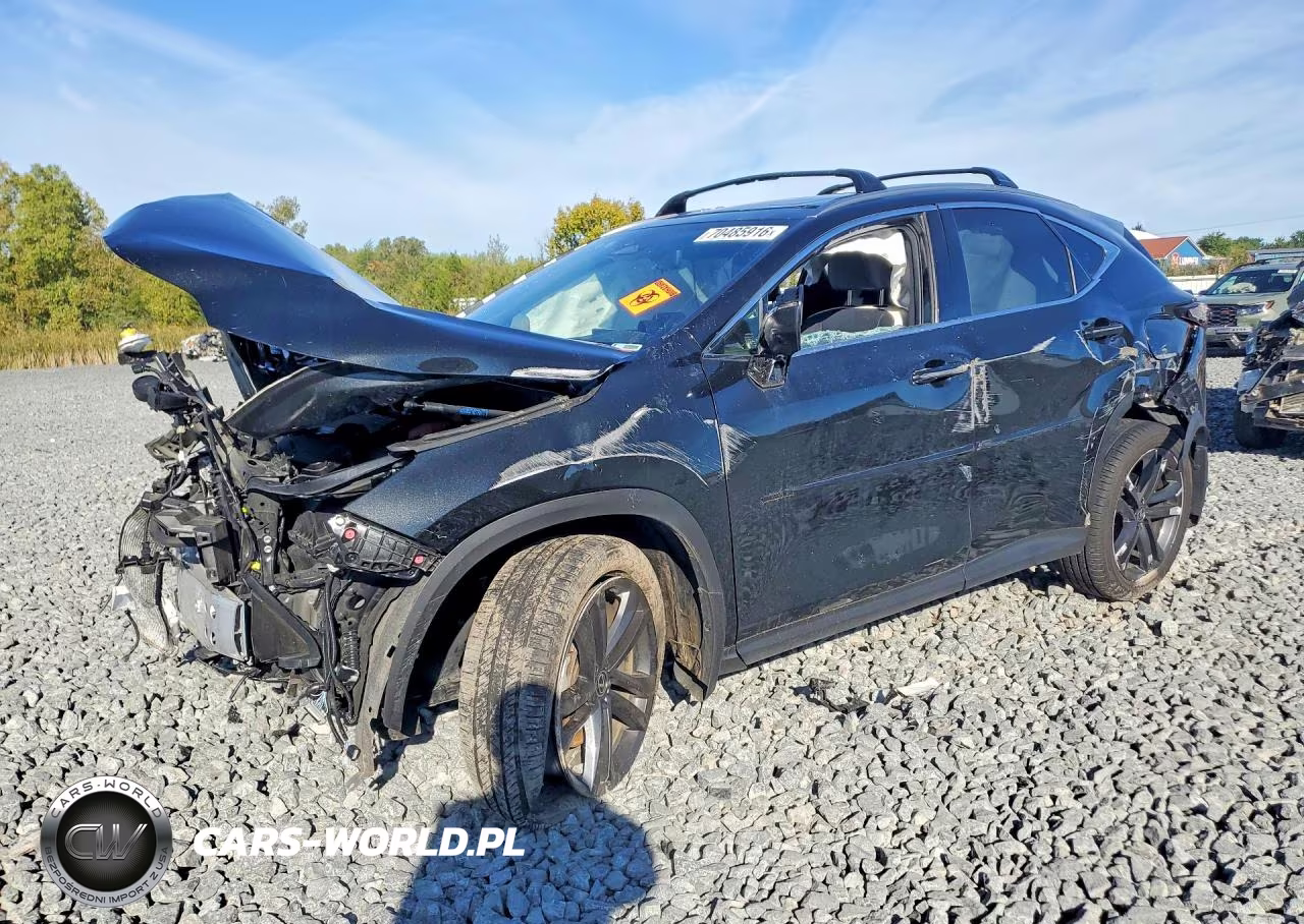 2024 Lexus Nx 450H+ Base