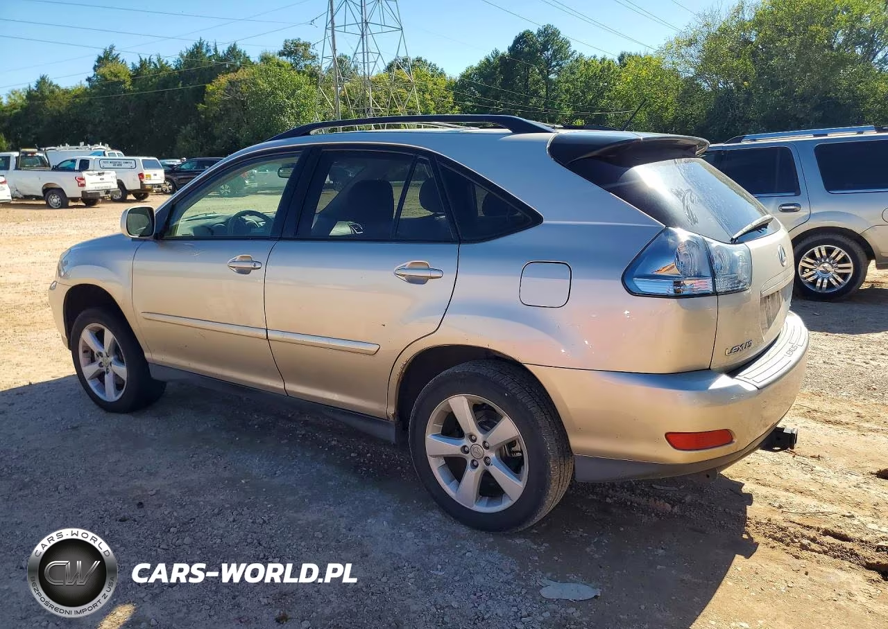 2004 Lexus Rx 330 VIN:JTJHA31U740052098 - 2