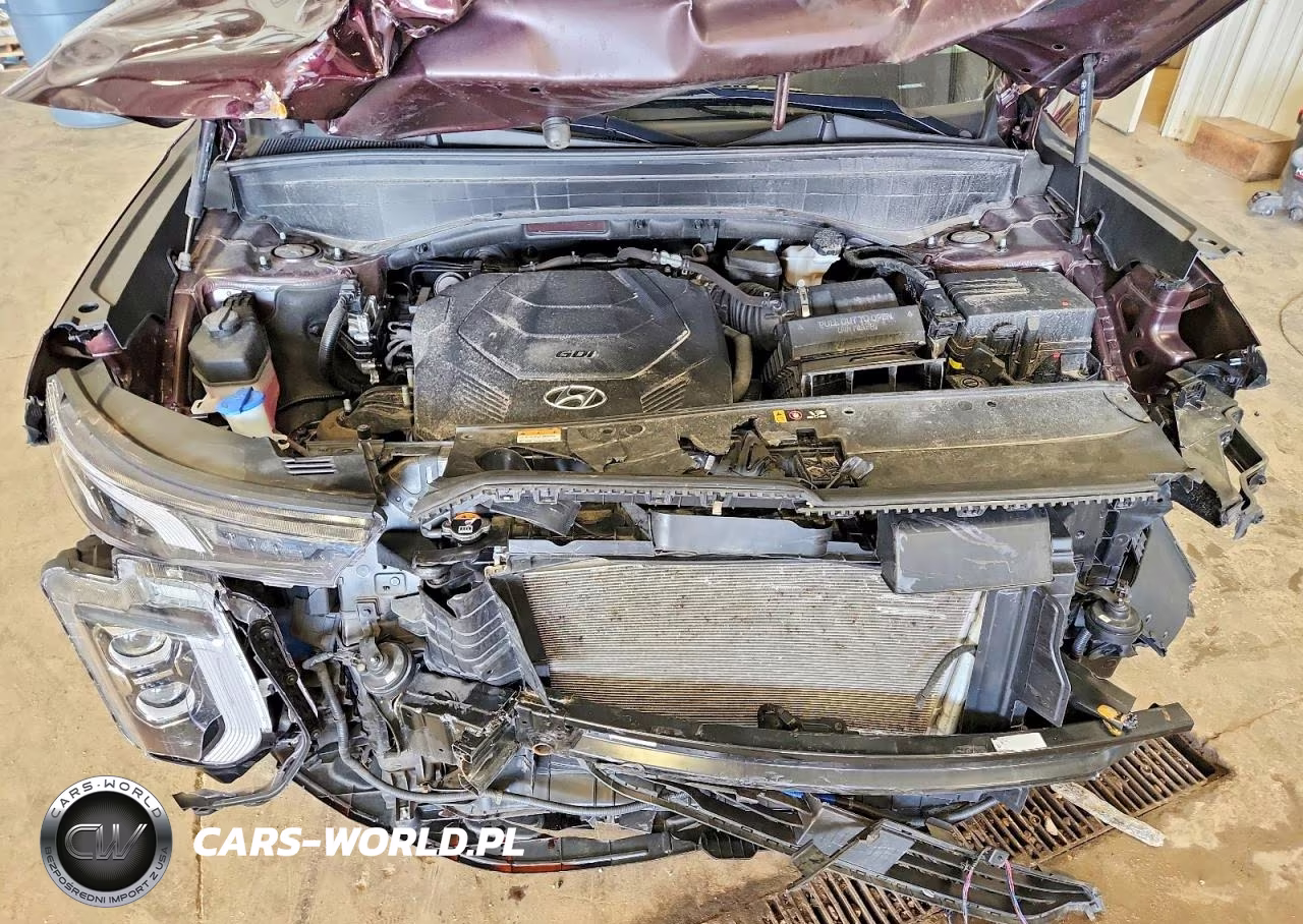 2021 Hyundai Palisade Limited VIN:KM8R5DHE0MU269982 - 11