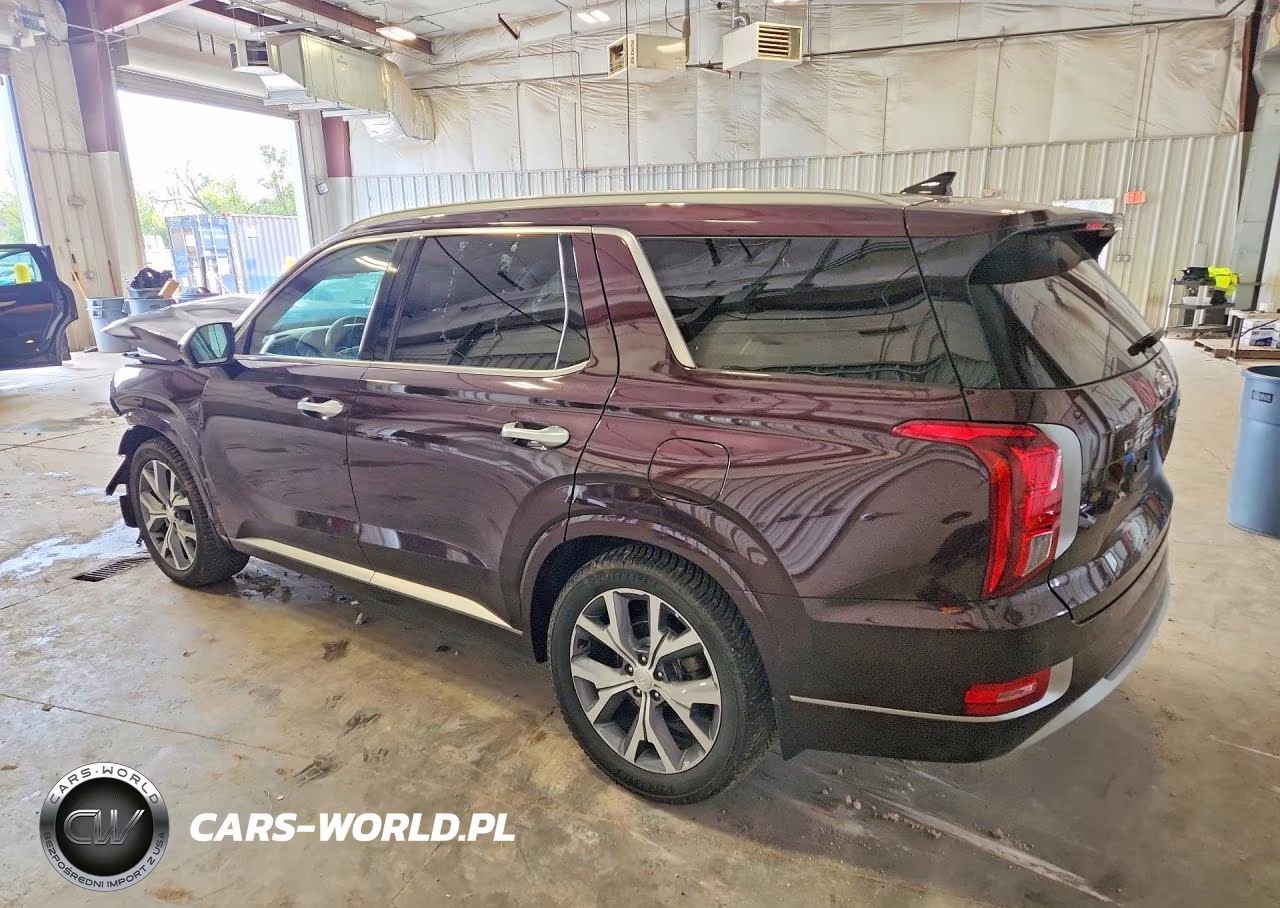 2021 Hyundai Palisade Limited VIN:KM8R5DHE0MU269982 - 2