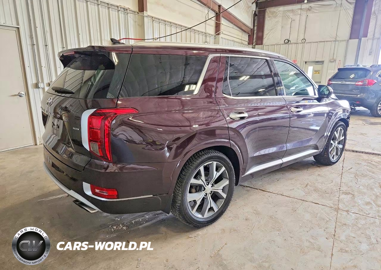 2021 Hyundai Palisade Limited VIN:KM8R5DHE0MU269982 - 3