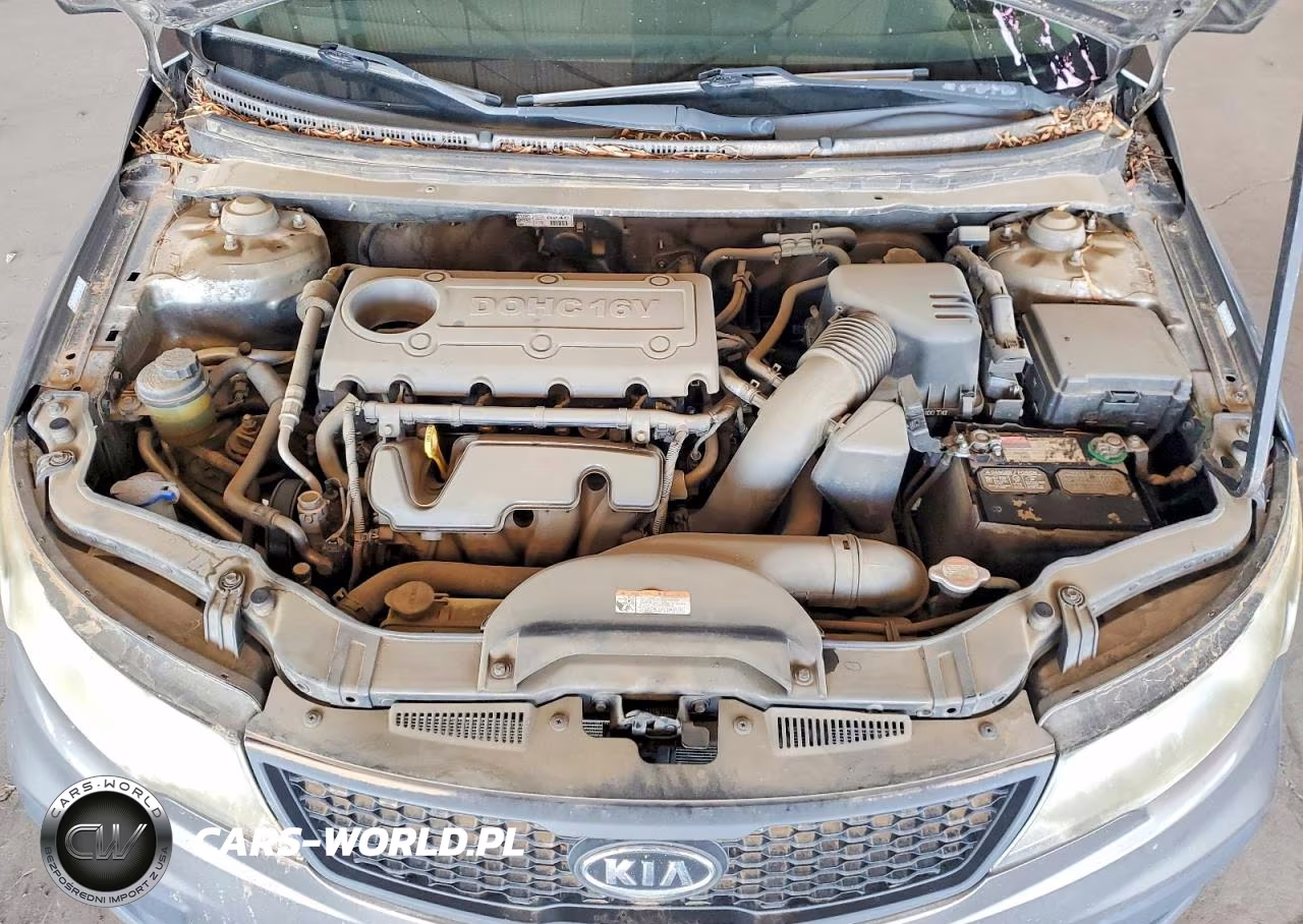 2012 Kia Forte Koup Ex VIN:KNAFU6A24C5604656 - 11