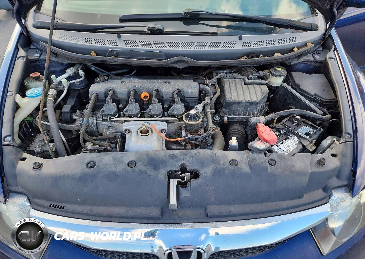 2010 Honda Civic Lx VIN:19XFA1F56AE012422 - 11